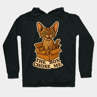 My Cat Likes to Sit in Boxes - Devon Rex Hoodie